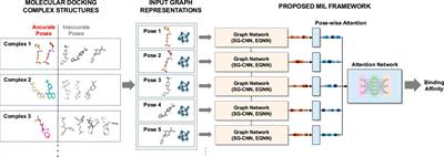 Protein-ligand binding affinity prediction using multi-instance learning with docking structures